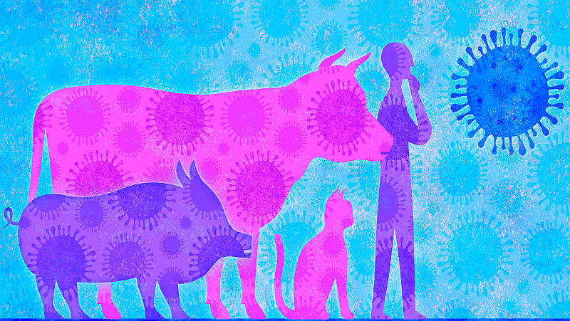 Коронавирус и его передача