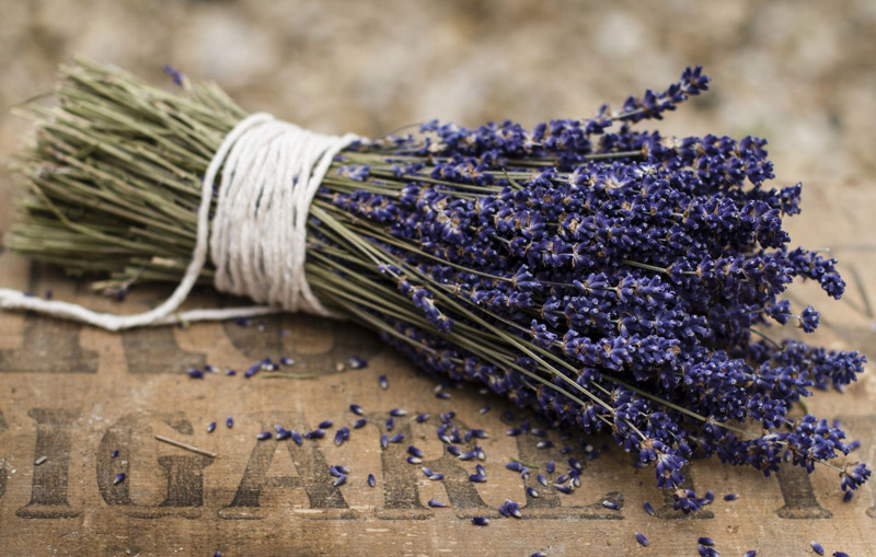 Букет лаванды