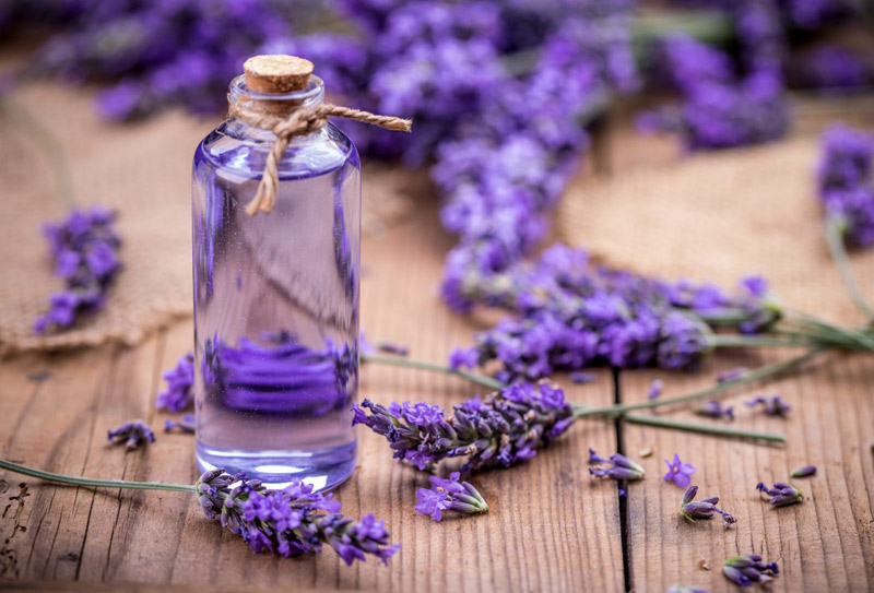Польза лавандового масла