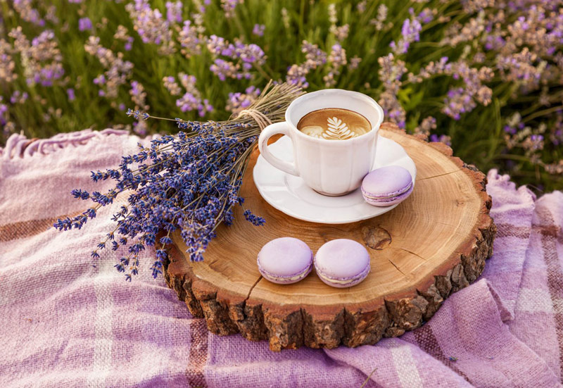 Цвет настроения лавандовый