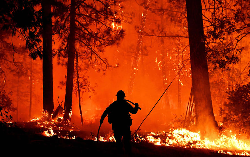 Лесной пожар в России