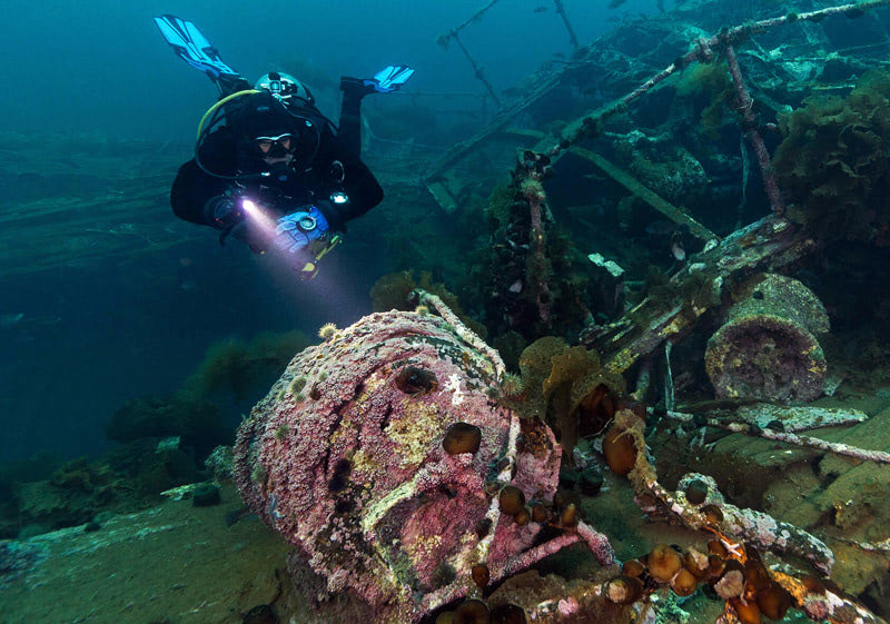 Лучшее место для дайвинга — Ньюфаундленд