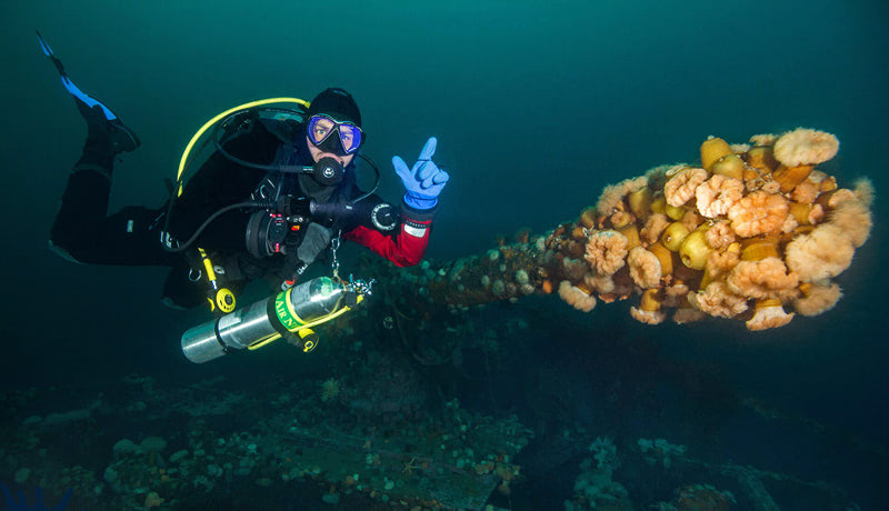 Лучшее место для дайвинга — острова Ньюфаундленд