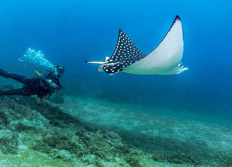 Лучшие места для погружений