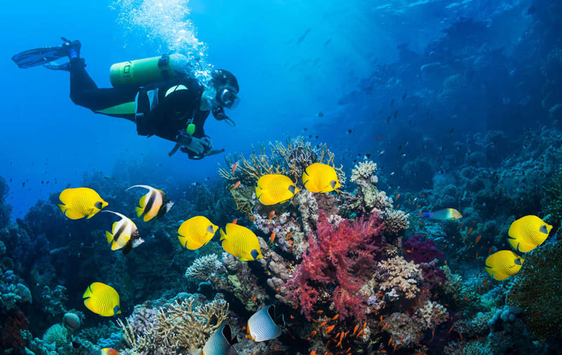 ТОП лучших мест для дайвинга