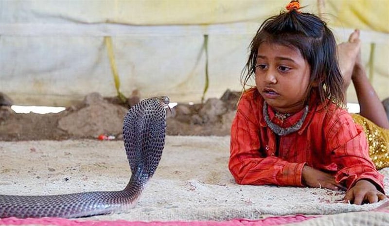 Шетпал — мистическое место в Индии