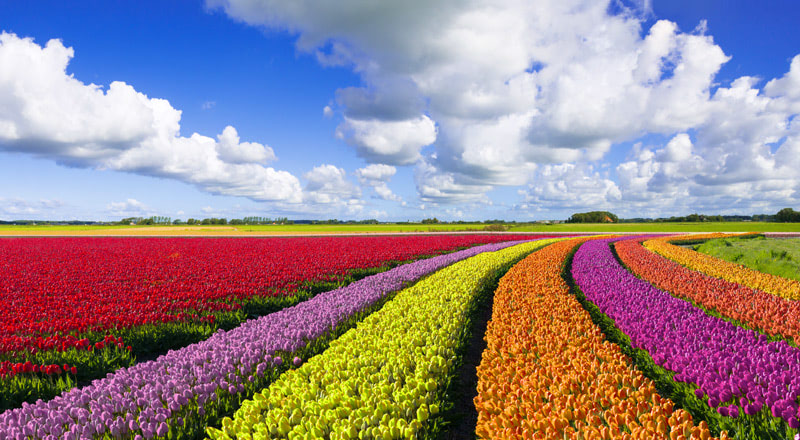 Модные цвета 2018