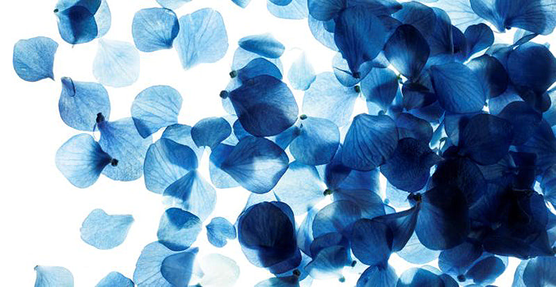 Nebulas Blue — модный цвет осень-зима 2018