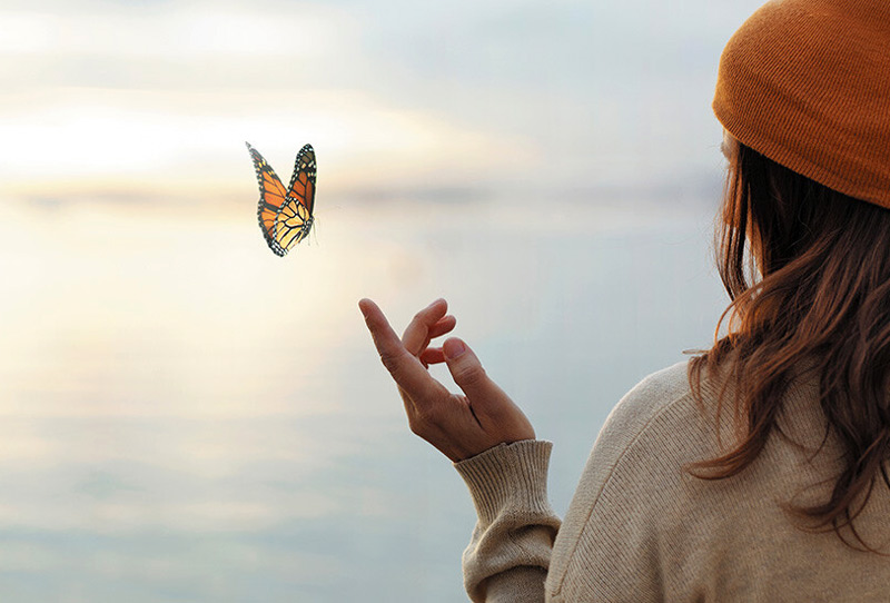 Волны мозга гармоничного состояния