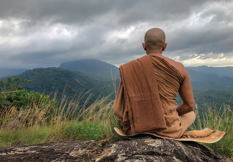 Волны мозга при медитации монахов