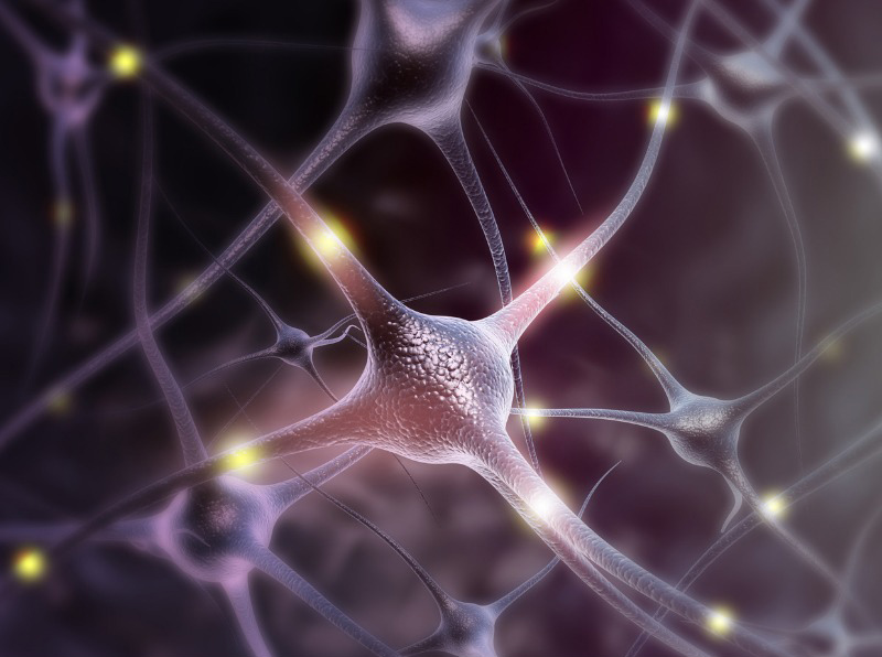 Волны мозга — нейросеть