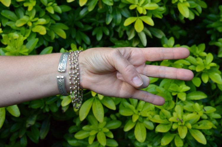 Земли йога мудра