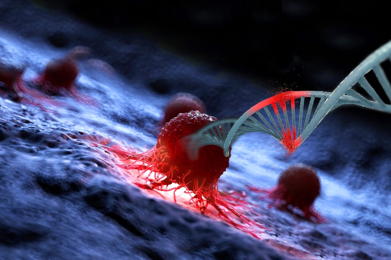 Мутации человека болезни