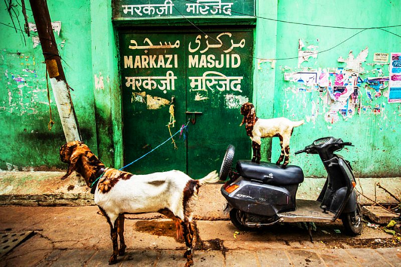 Влияние бедности на мутации