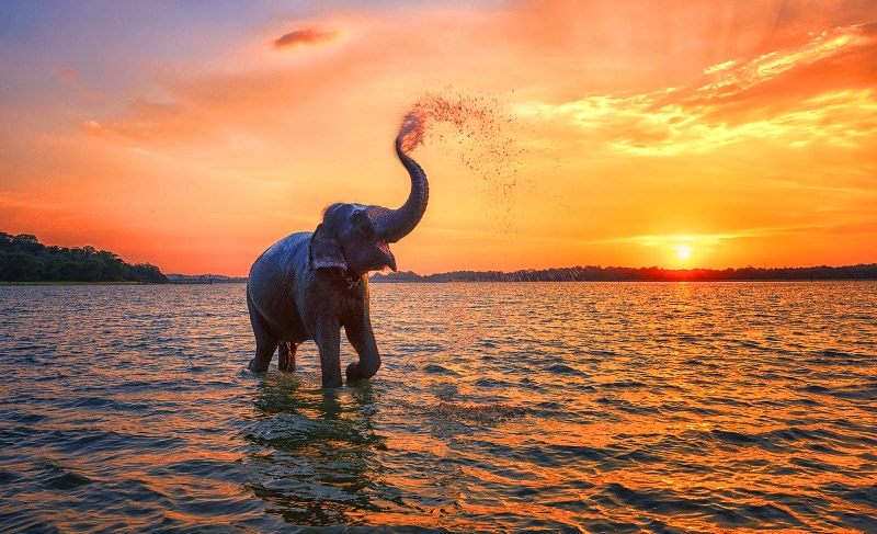 Мутации у детей Индия