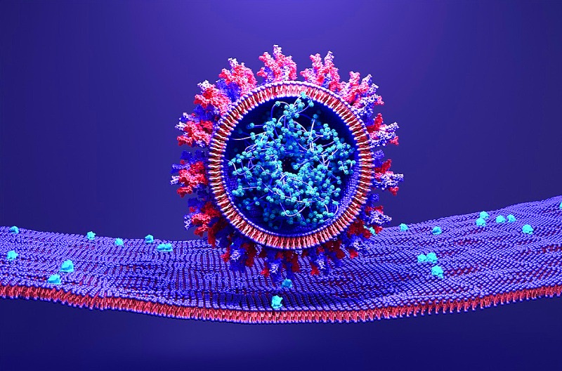 Мутации в Индии