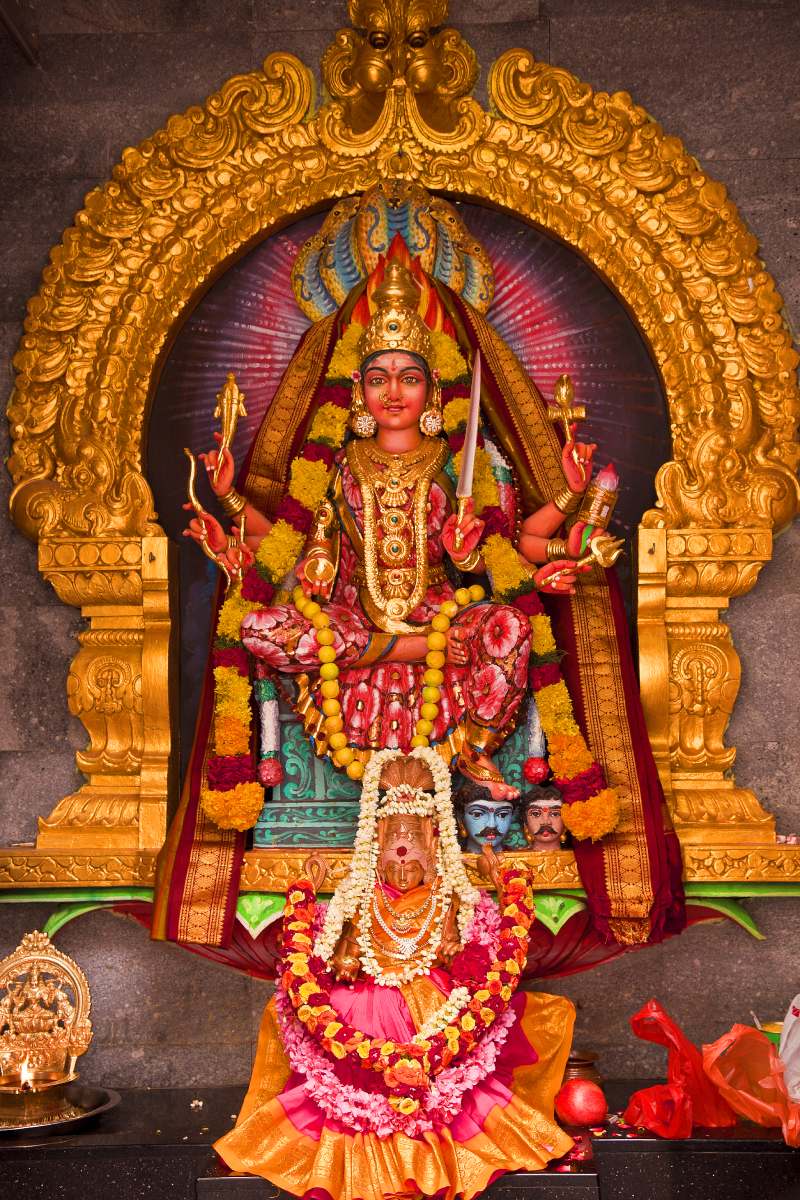 Мутации детские Индия