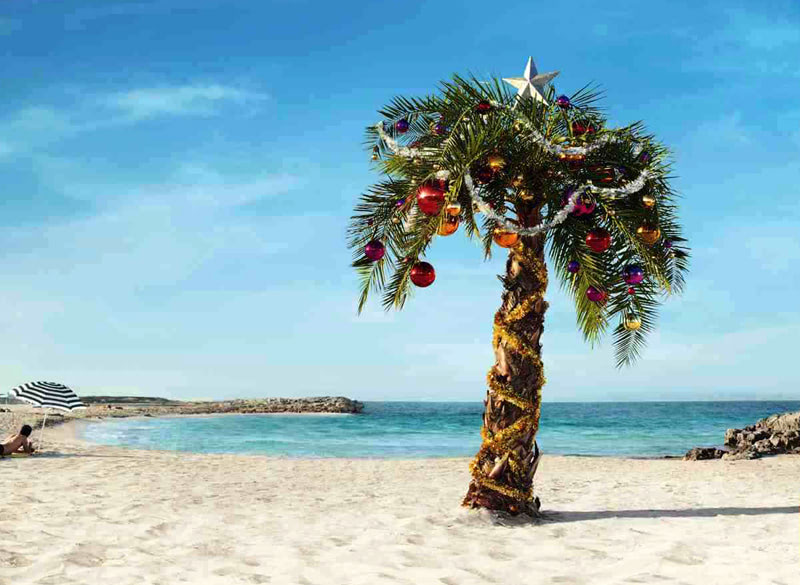 Где отпраздновать Новый год 2020 в Индии