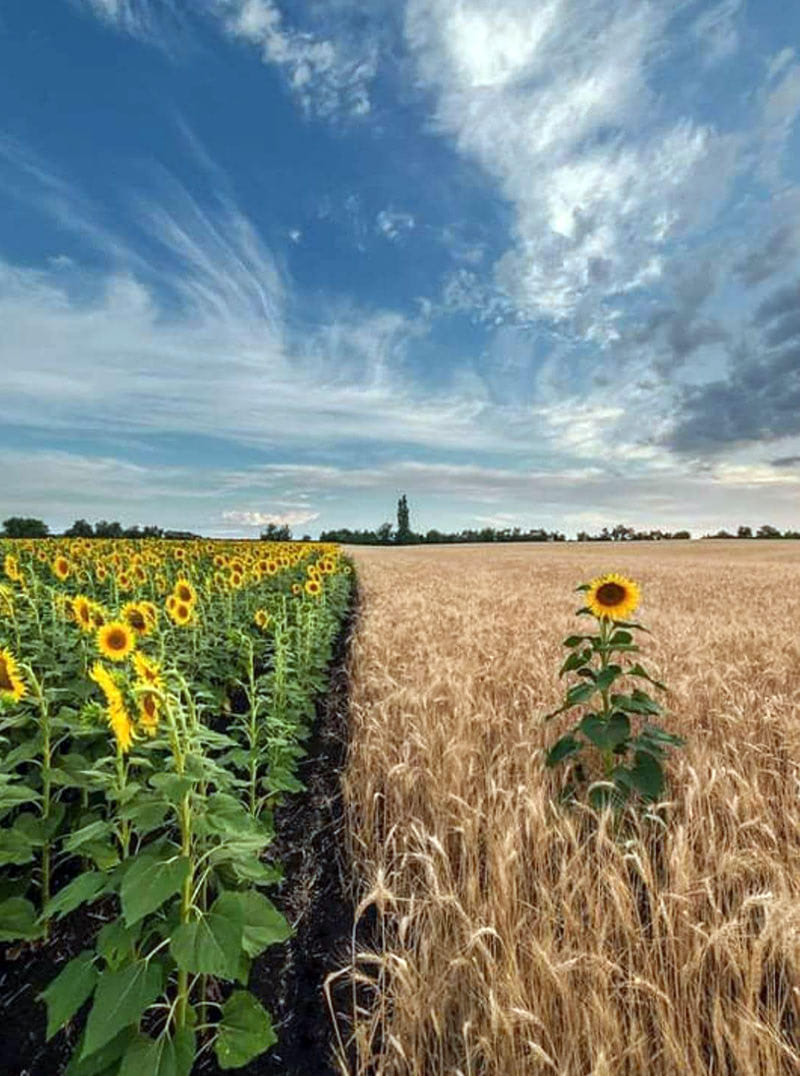 Одиночество — хорошо или плохо?