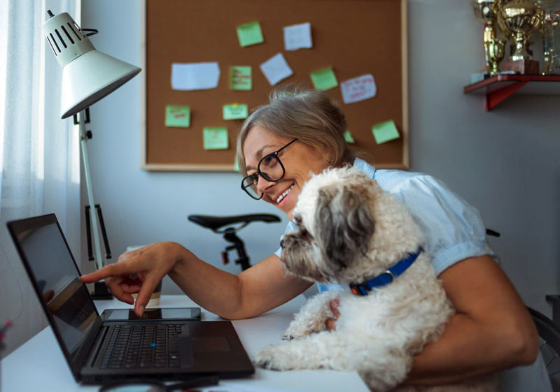 Одиночество и животные