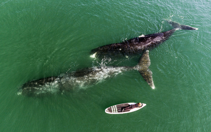 Отдых в России — Дальний Восток