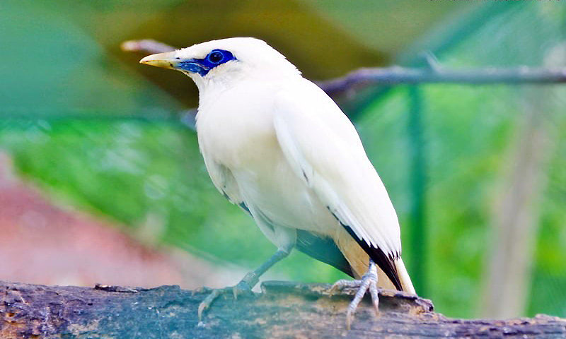 Отдых в лучших местах Бали