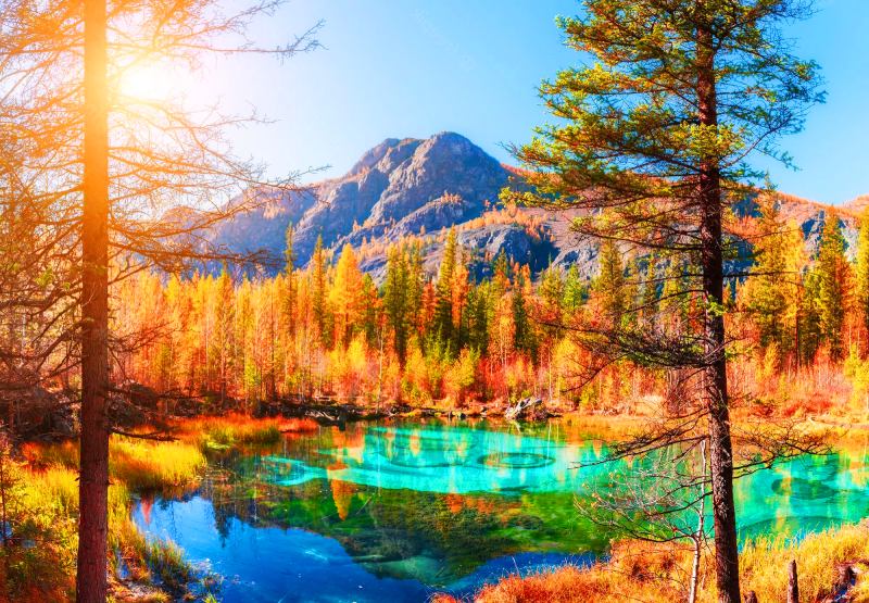 Отечественный туризм и Анапа