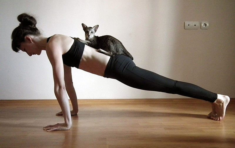 Упражнение планка