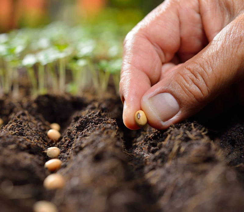 Карма в христианской традиции