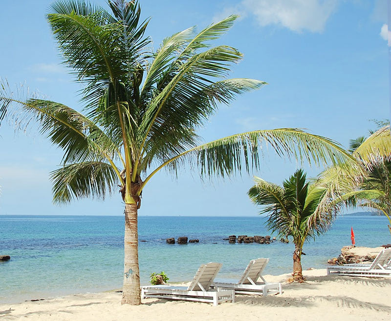 Пляж Хатьен — достопримечательность Вьетнама