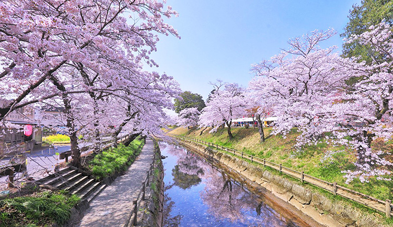 Путешествия в апреле и мае