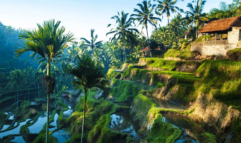 Куда поехать в турпоездку в Азию?