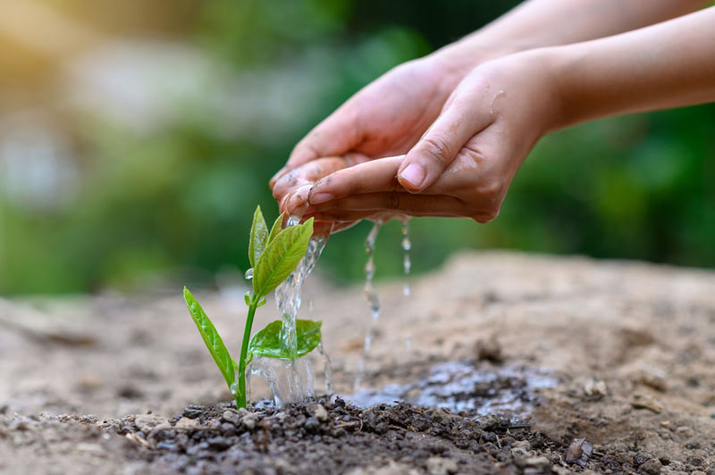 Праздник Белтейн — ритуал