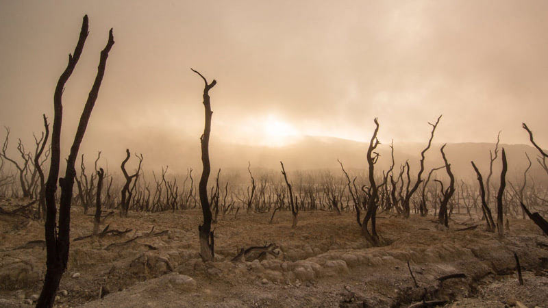 Как принять уход близкого человека?