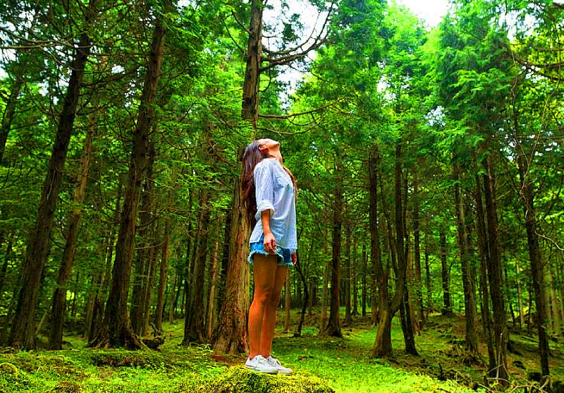 Простые полезные привычки