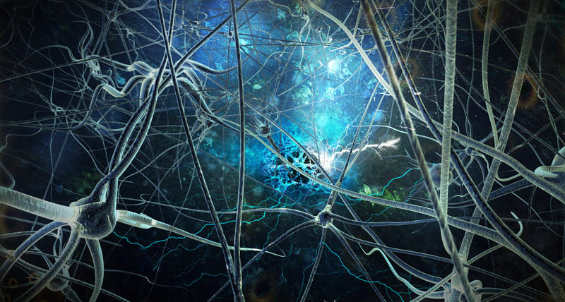 Зачем людям путешествия?