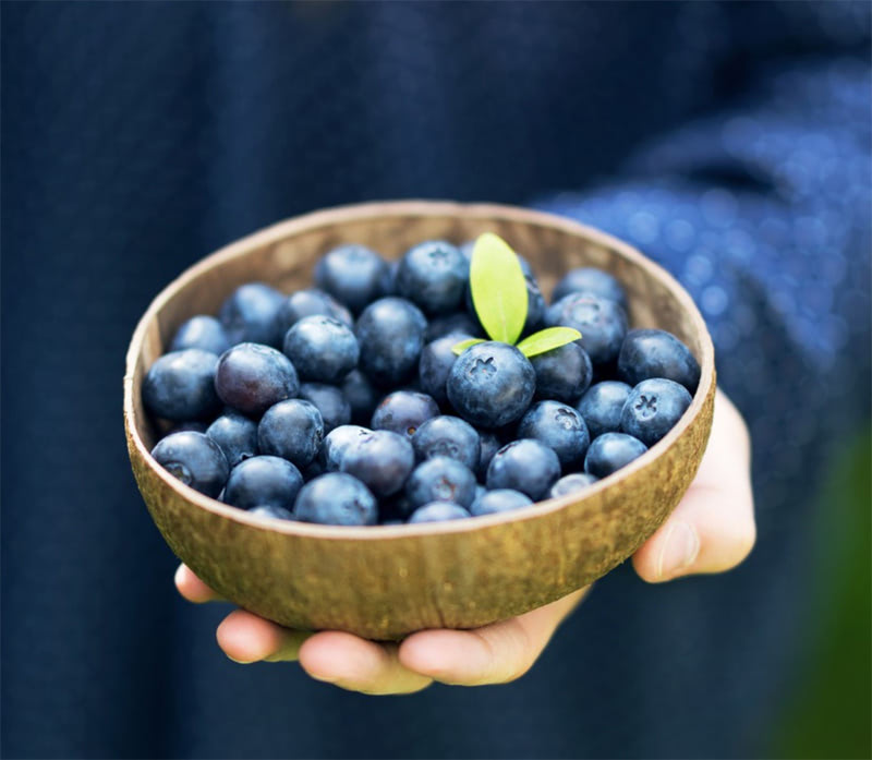 Рецепт июня — салат из черники