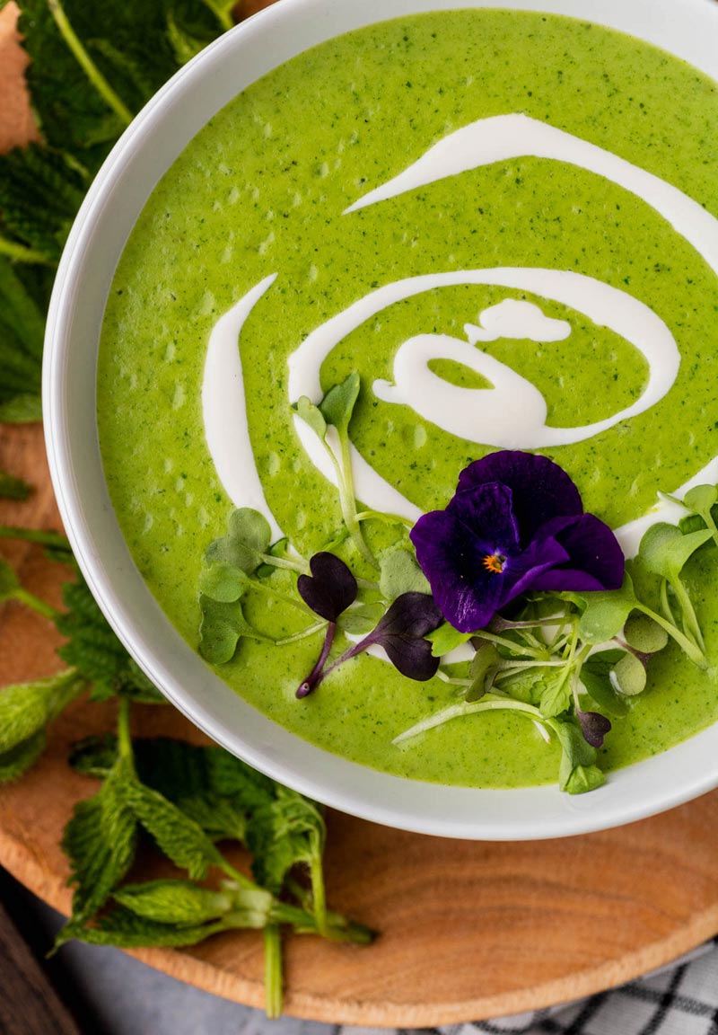 Рецепт мая — суп из крапивы и весенних сорняков