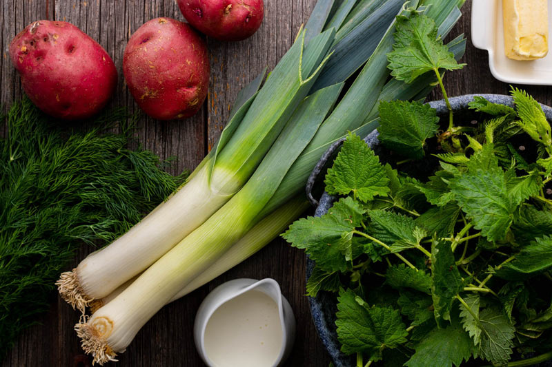 Рецепт мая — суп с крапивой и дикой зеленью