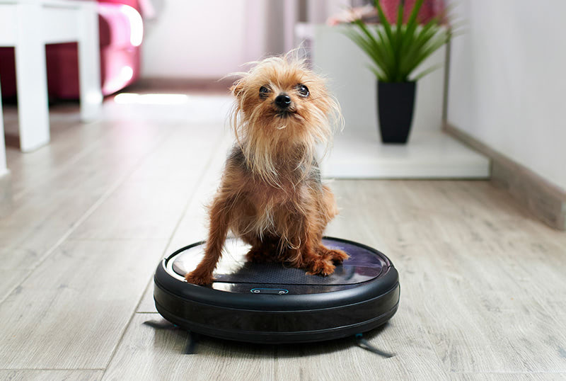 Индийский ритуал — практика шауч