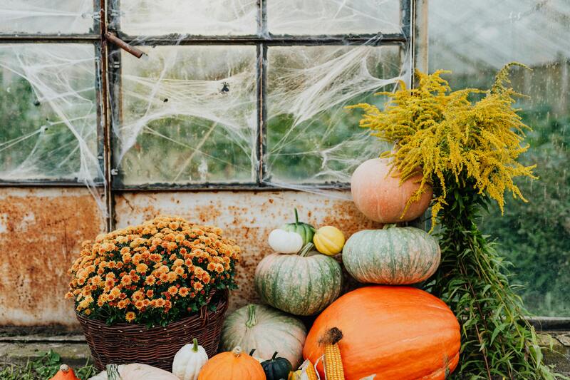 Ритуалы Самайна