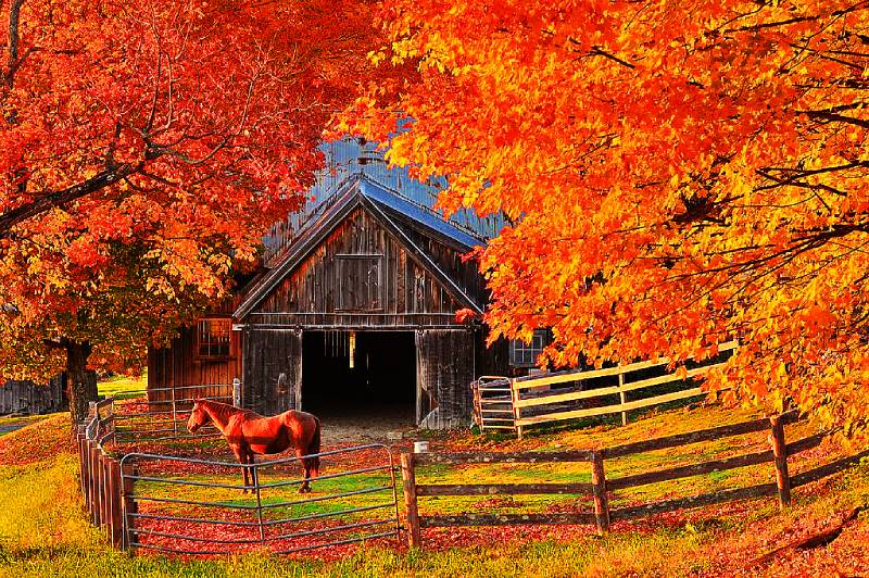 Цвета рустик