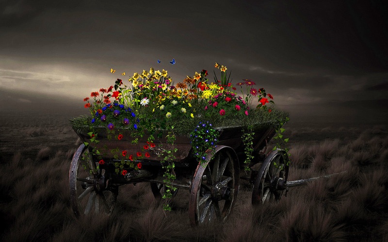 Рустик свадьба