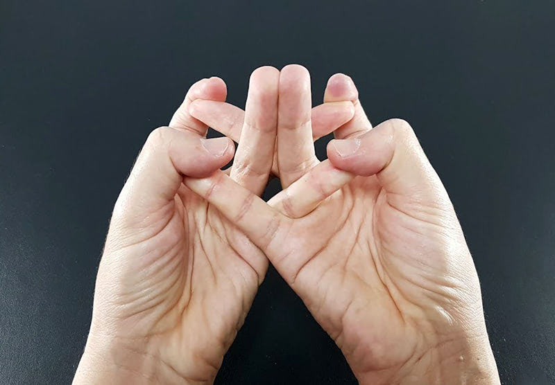 Мудра чакра Сахасрара