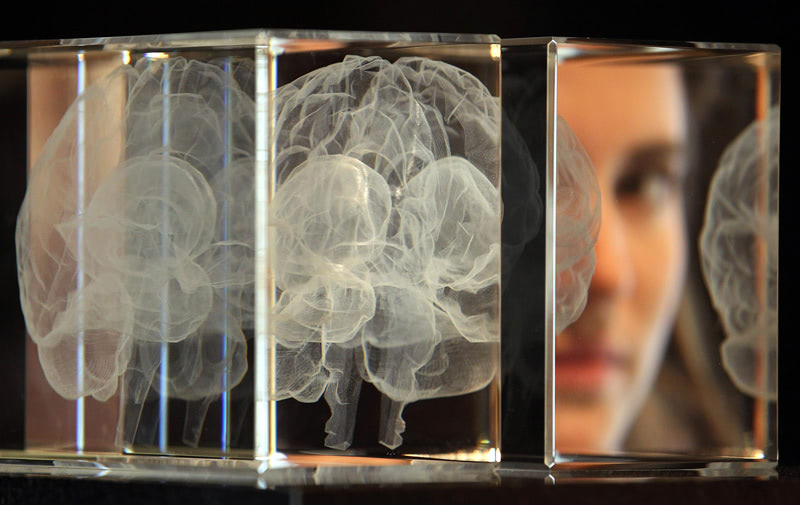 Мозг поможет сбросить вес