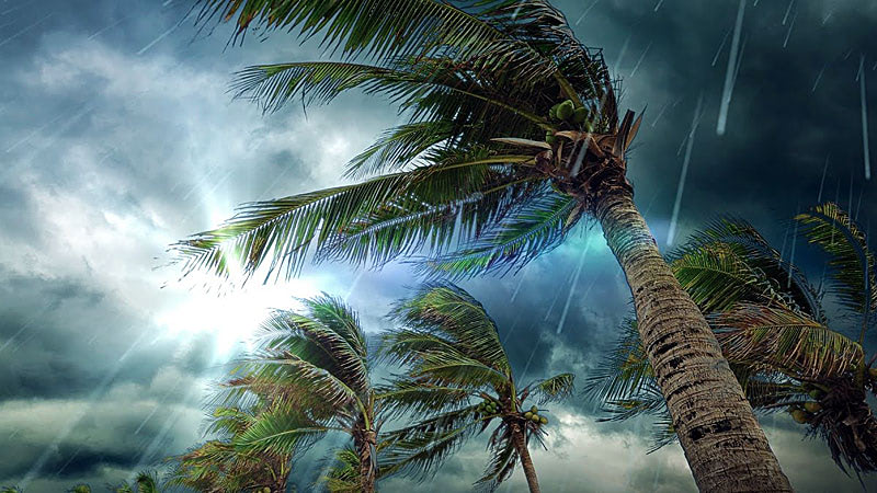 Отдых в саванне и сезон дождей