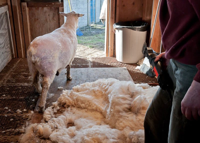 Шерстяной плед