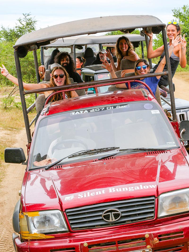 Сафари на Шри-Ланке в ноябре