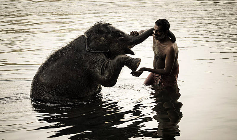 Сиддхи йогов Индии