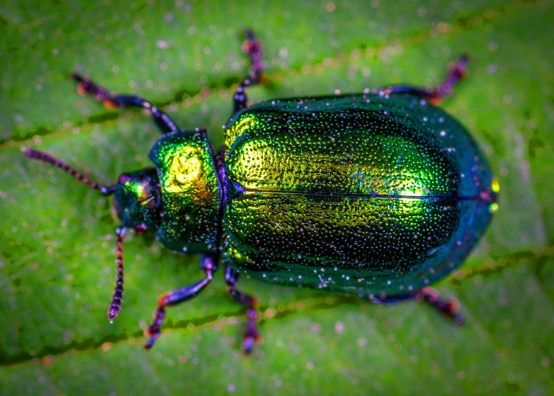 Знаки и синхроничность